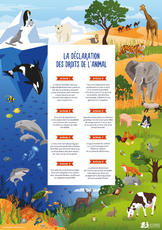 La déclaration des droits de l'animal