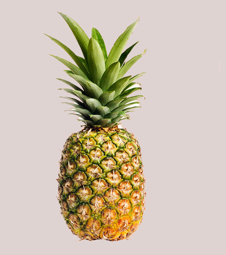 Image d'un ananas qui fait référence a nos produits en cuir d'ananas Piñatex