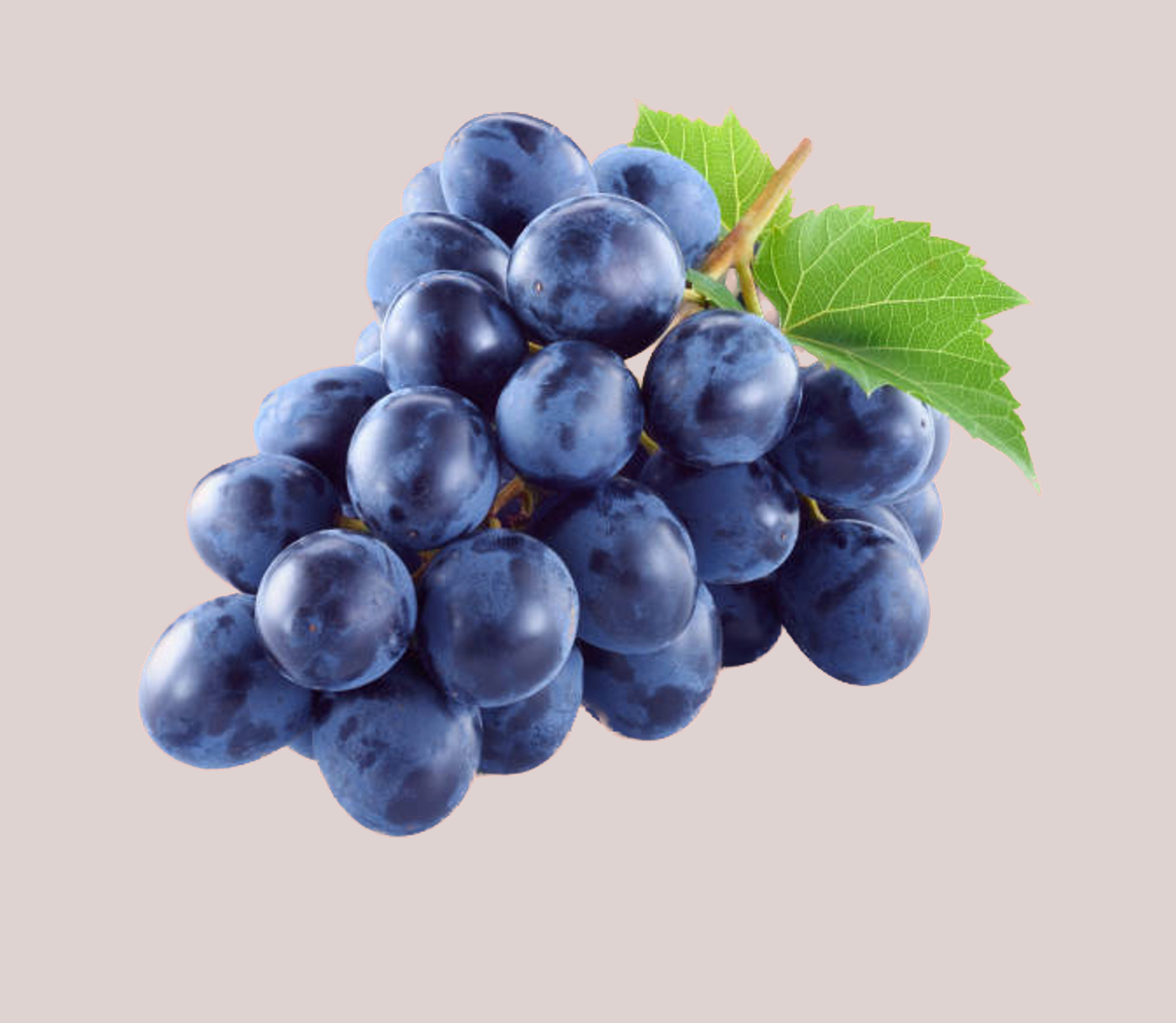 Image d'une grappe de raisin qui fait référence au cuir de raisin Vegea